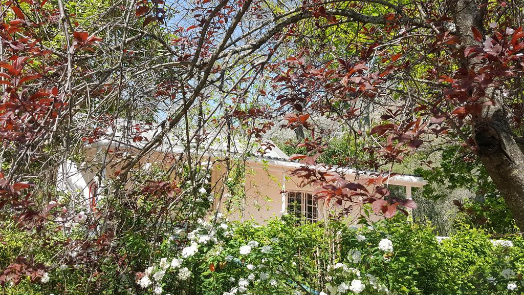 Old Nectar Villa Stellenbosch Ngoại thất bức ảnh